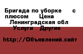 Бригада по уборке “ 5 с плюсом “ › Цена ­ 1 000 - Ленинградская обл. Услуги » Другие   